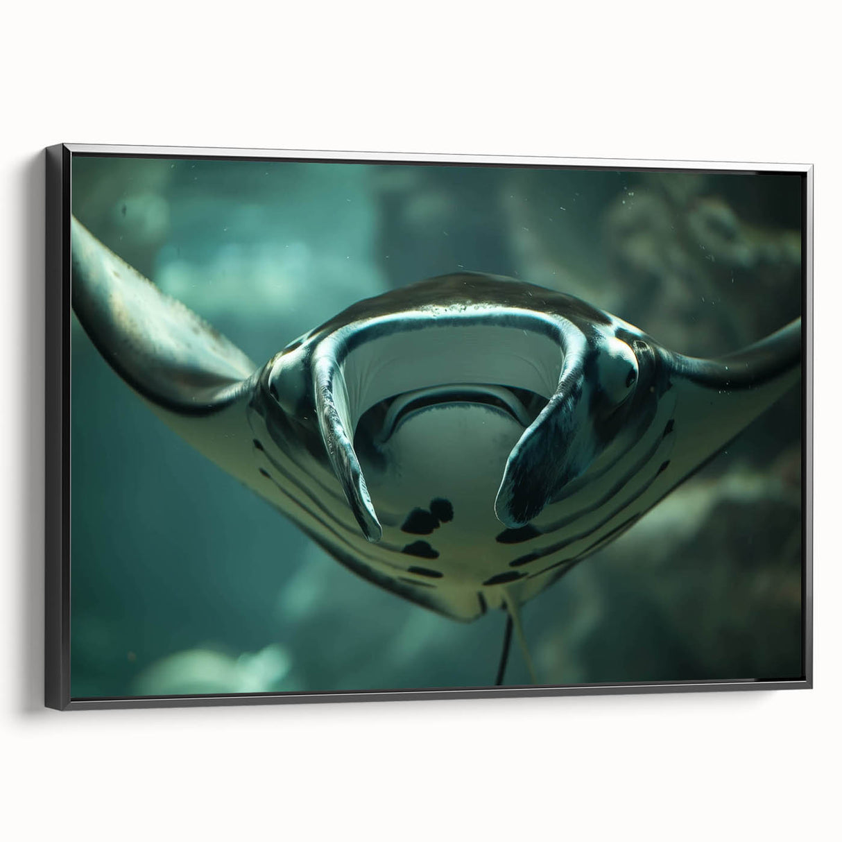 Framed canvas wall art featuring a marine life ray design with vibrant colors, set against a sleek black frame, ideal for ocean-themed decor.