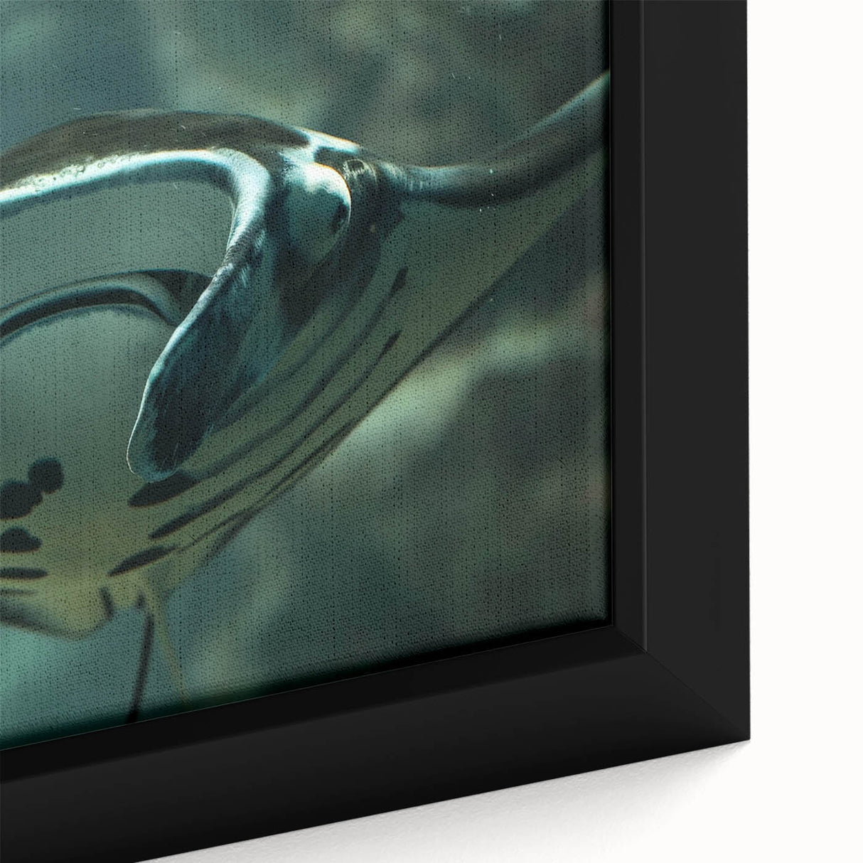 Close-up of a framed canvas featuring a vibrant marine life ray design, showcasing intricate details and vivid colors, ideal for ocean-themed home decor.