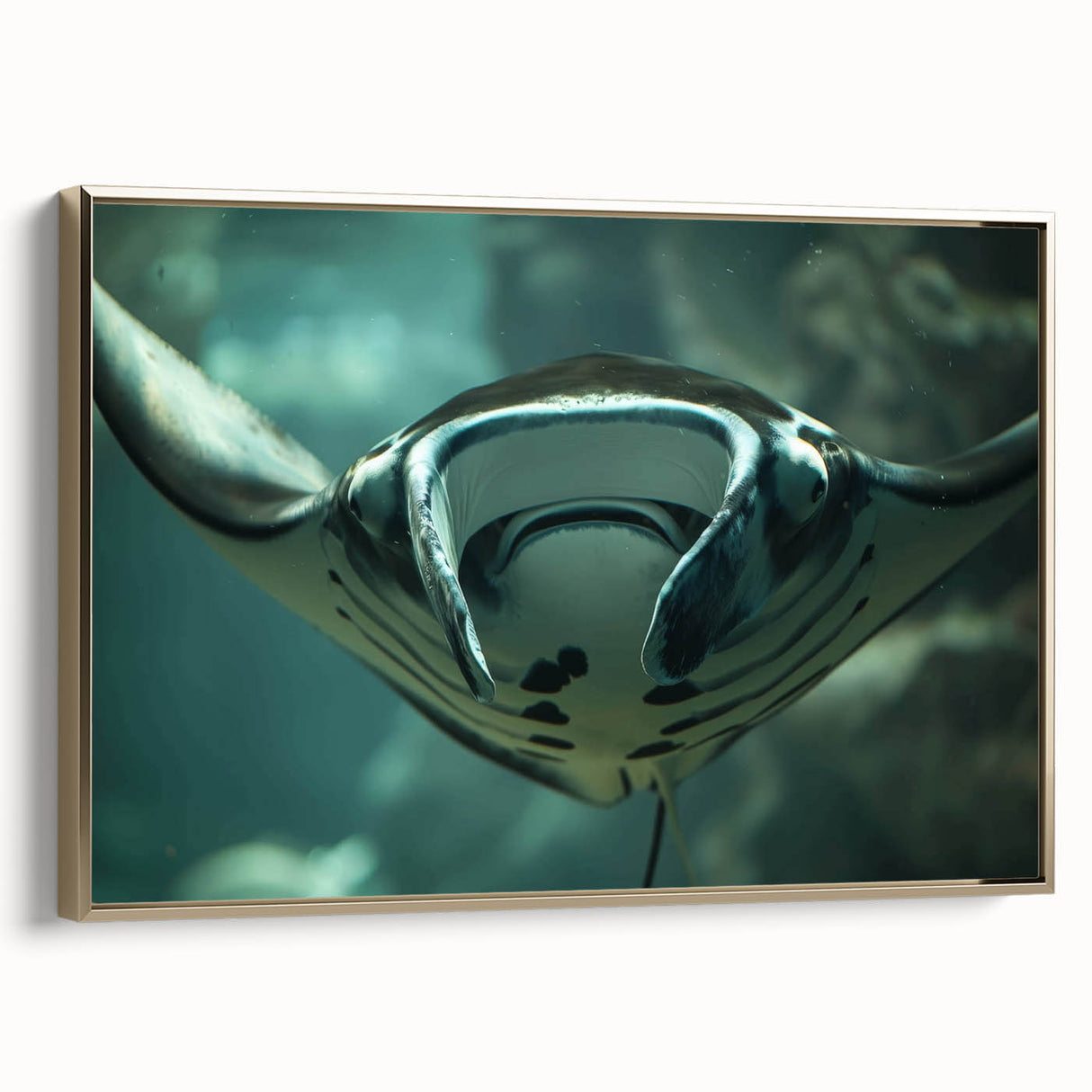 Framed wall art showcasing an elegant marine life ray design on canvas, featuring a gold frame and vibrant colors, ideal for ocean-themed decor.