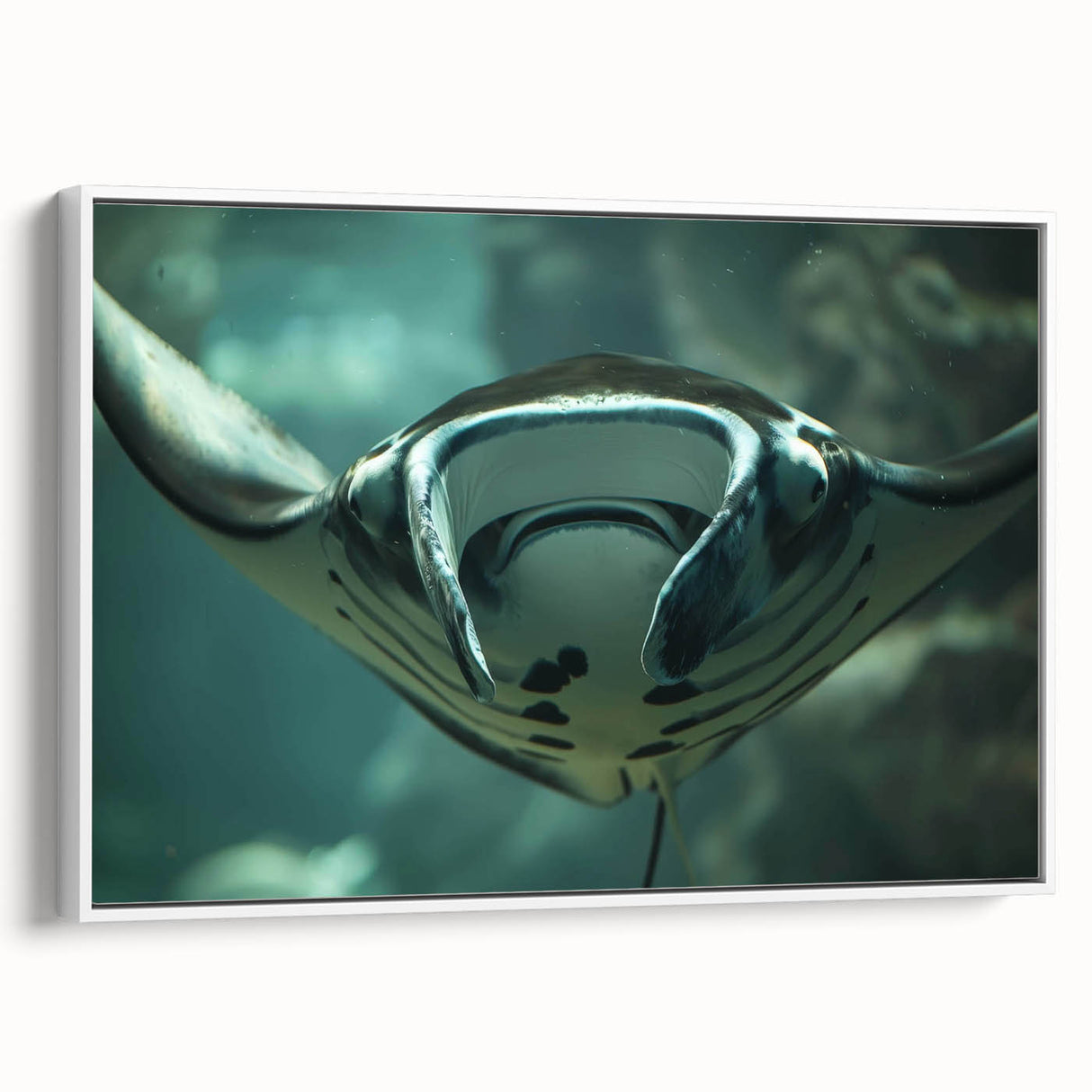 Framed wall art featuring a vibrant marine life ray design, showcasing intricate details and colors, displayed against a white backdrop for a modern aesthetic.