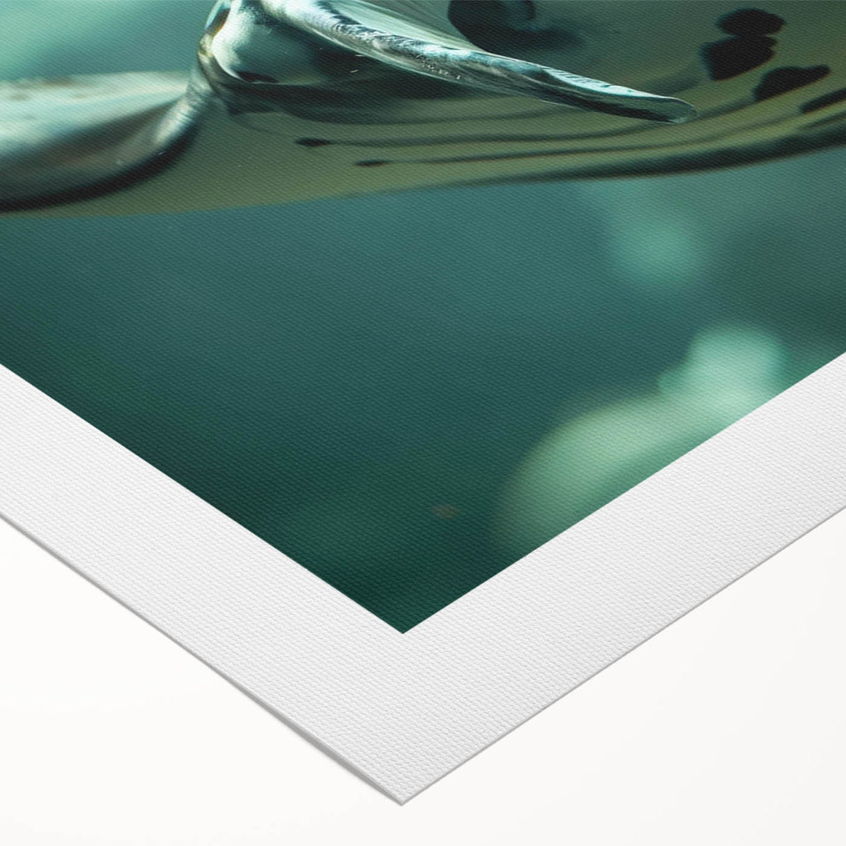 Vibrant rolled canvas wall art showcasing a colorful marine life ray design, ideal for ocean-themed decor, presented in a protective cardboard tube.