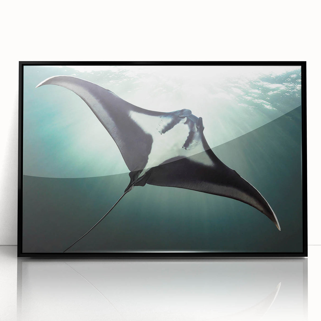 Framed wall art featuring a stunning marine life design of a ray, set in a sleek black frame, perfect for ocean-themed decor and enhancing any living space.