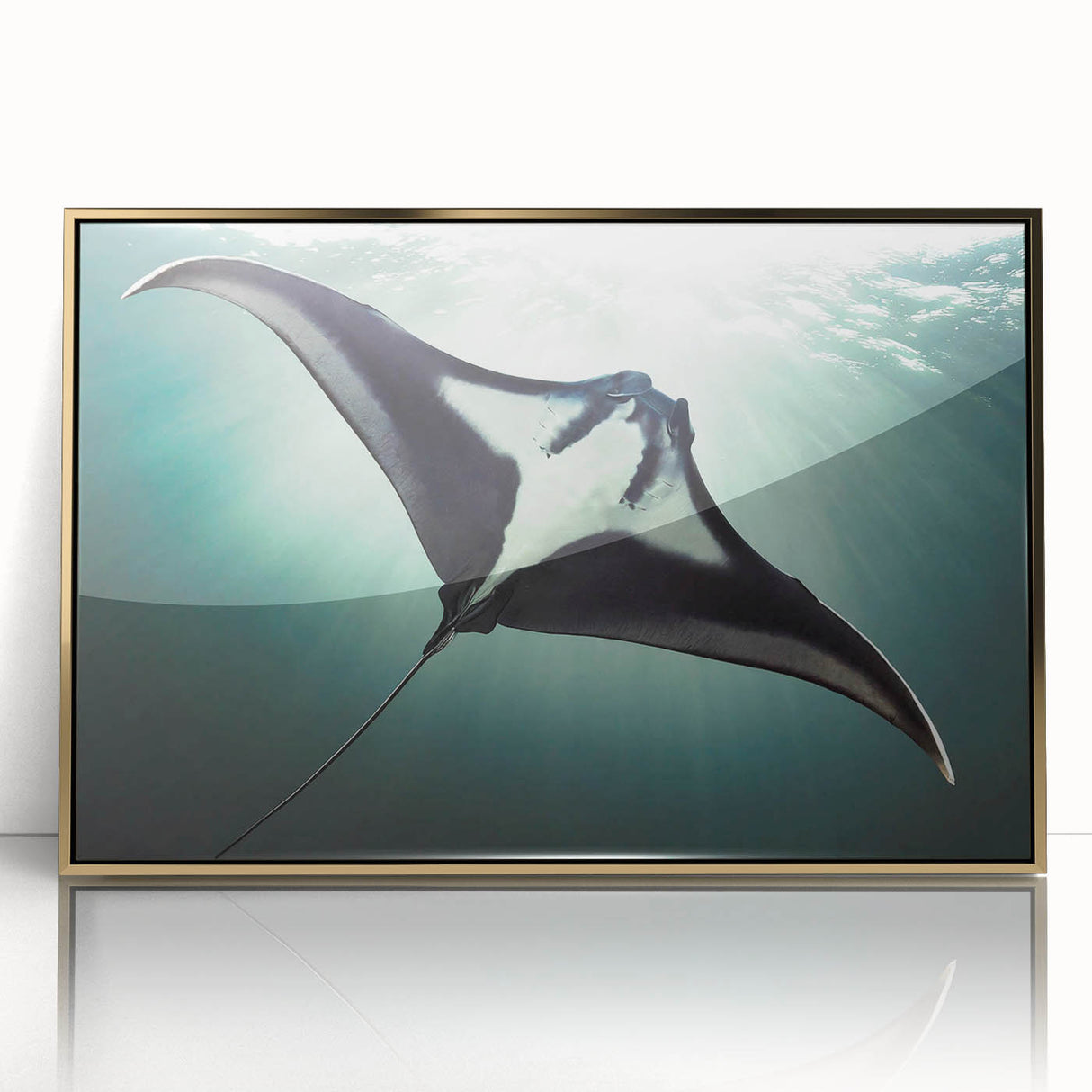 Framed acrylic wall art showcasing a vibrant marine life ray design with gold accents, elegantly displayed in a modern setting, perfect for ocean-themed decor.