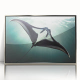 Framed acrylic wall art featuring a stunning marine life ray design in silver, showcasing vibrant colors and intricate details, perfect for ocean-themed decor.