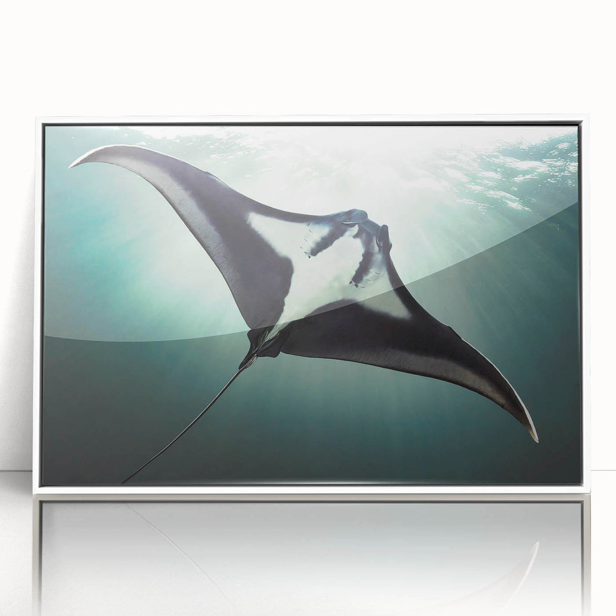 Framed acrylic wall art featuring a marine life ray design, showcasing vibrant colors and intricate details, perfect for ocean-themed decor in modern interiors.
