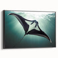 Framed canvas wall art showcasing a vibrant marine life ray design, featuring intricate details and a sleek black frame, perfect for ocean-themed decor.