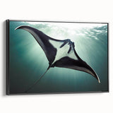 Framed canvas wall art showcasing a vibrant marine life ray design, featuring intricate details and a sleek black frame, perfect for ocean-themed decor.
