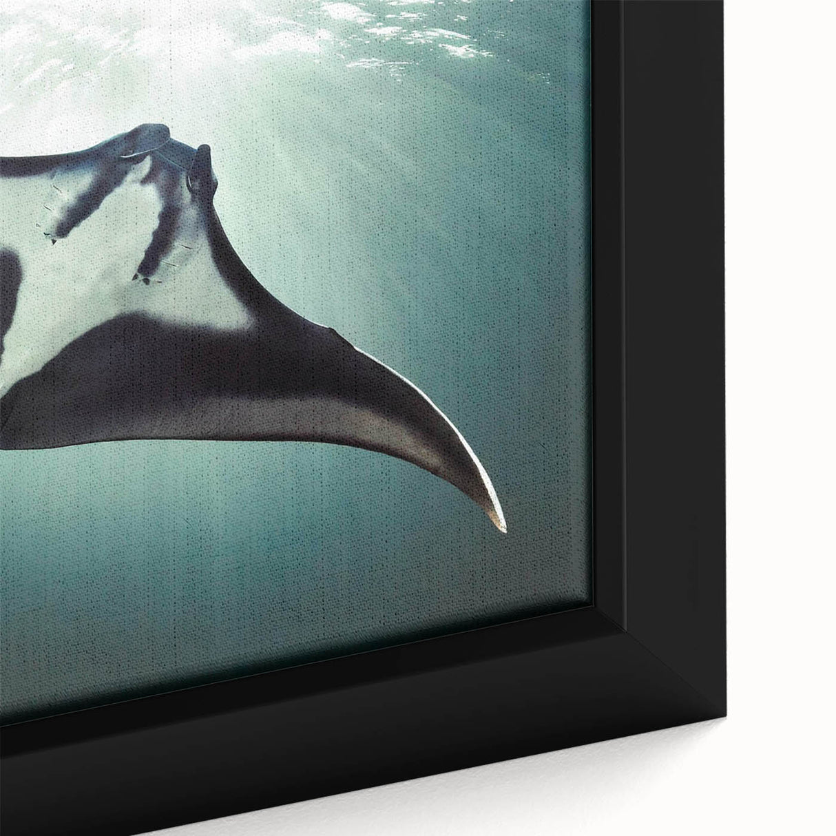 Close-up of a framed canvas wall art featuring a vibrant marine life ray design, showcasing intricate details and rich colors, perfect for ocean-themed decor.
