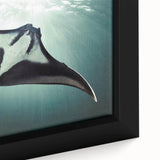 Close-up of a framed canvas wall art featuring a vibrant marine life ray design, showcasing intricate details and rich colors, perfect for ocean-themed decor.