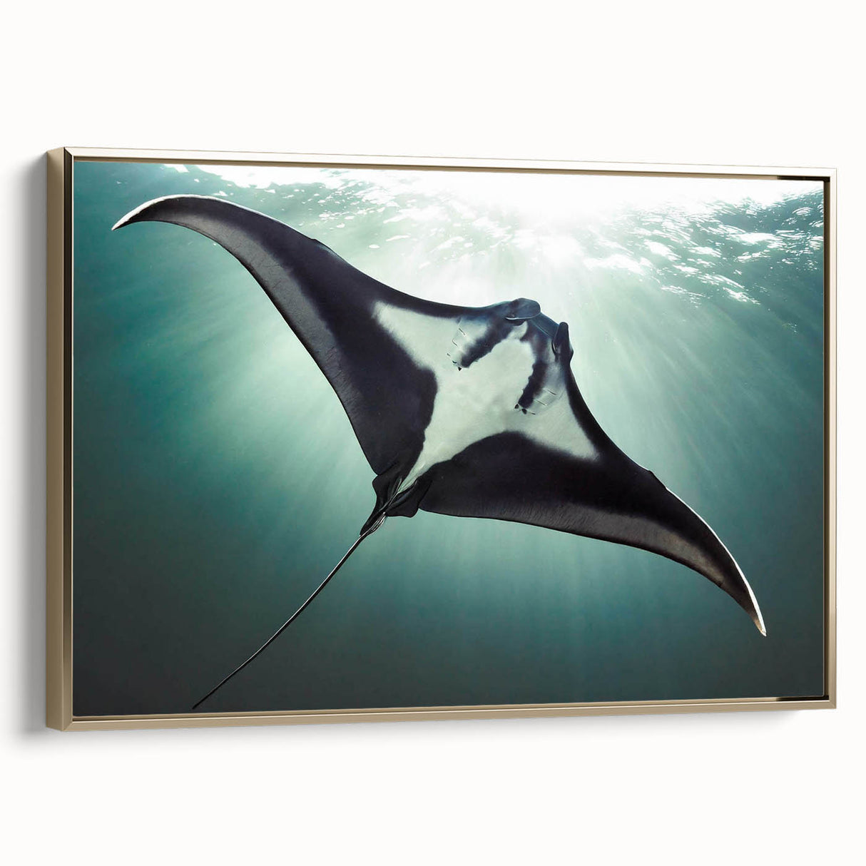 Framed wall art featuring a marine life ray design, showcasing intricate details in vibrant colors with a gold frame, ideal for ocean-themed decor.