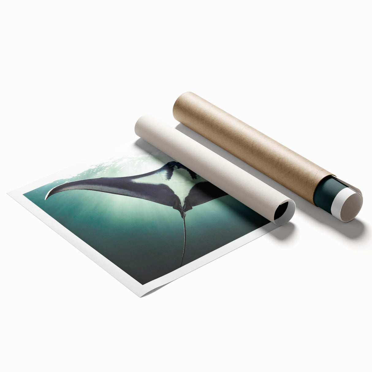 Colorful marine life ray design wall art print showcasing vibrant blues and greens, ideal for ocean-themed decor, rolled and ready for framing or display.