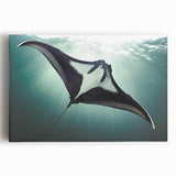 Stretched canvas wall art featuring a vibrant marine life ray design, showcasing intricate details and vivid colors, perfect for ocean-themed decor.