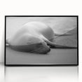 Framed wall art featuring a vibrant marine life design showcasing a sea lion, set in a sleek black frame with acrylic front for a modern touch. Perfect for ocean-themed decor.