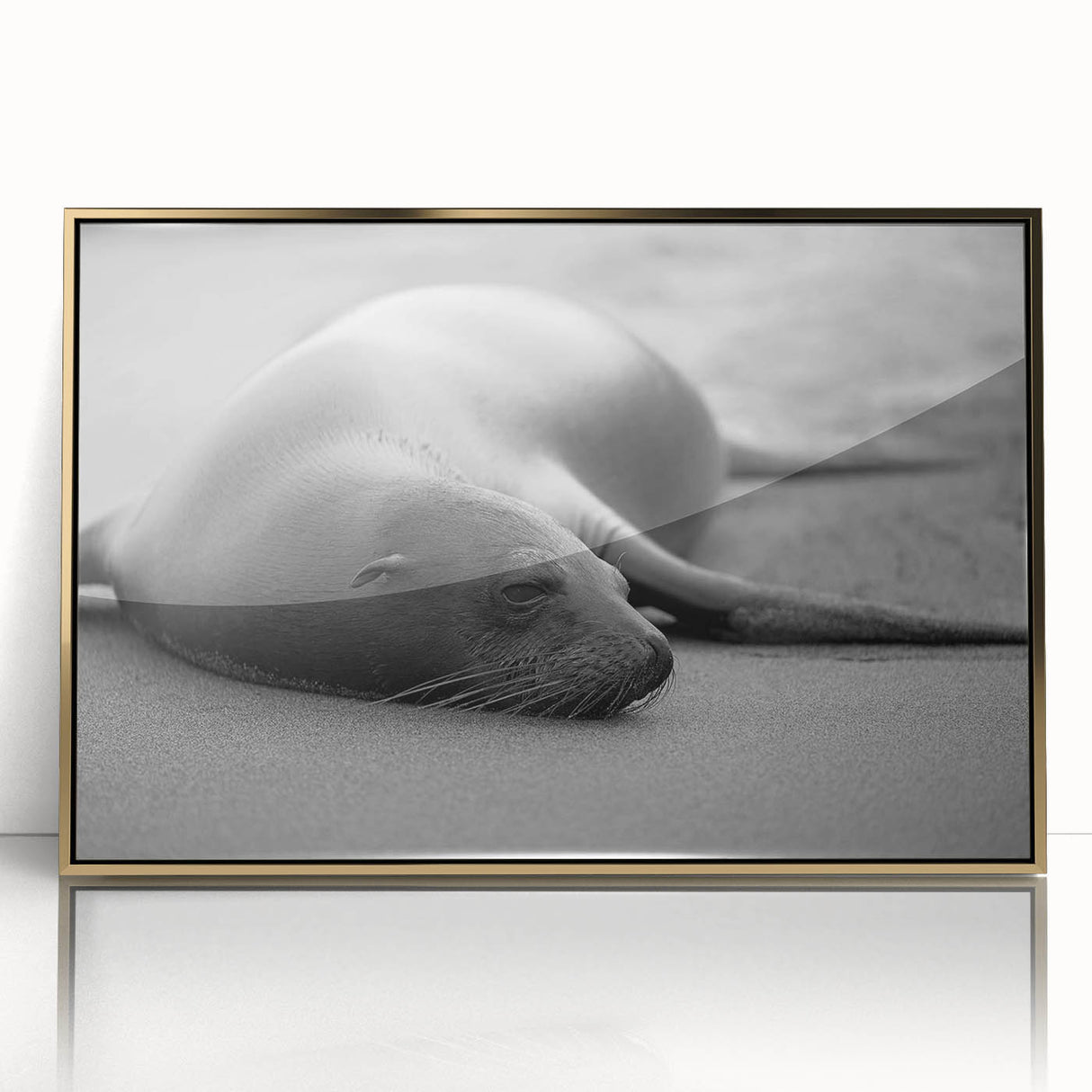 Framed wall art featuring a vibrant sea lion design in a gold-acrylic frame, showcasing intricate marine life details against a sleek background, perfect for ocean-themed decor.