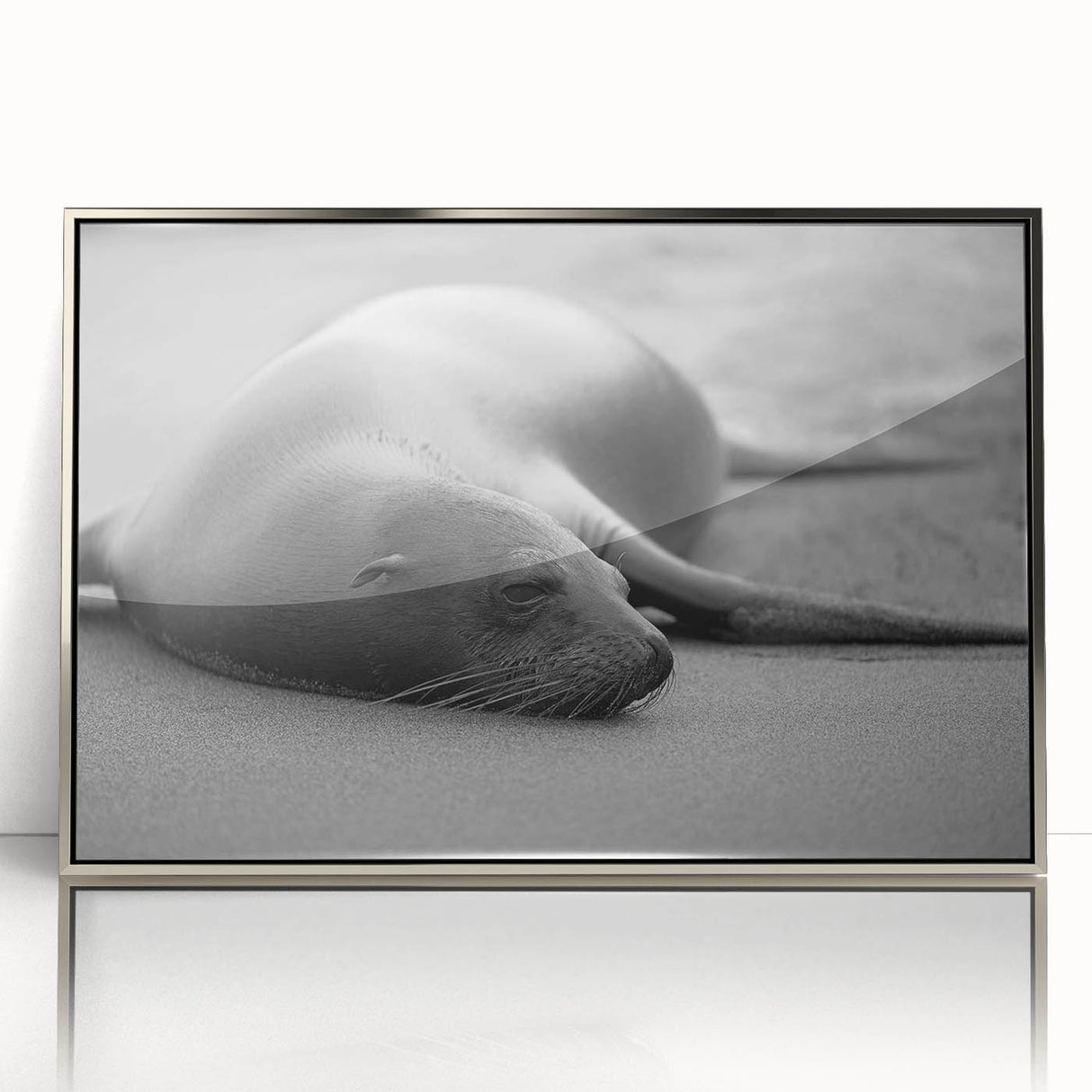 Framed wall art featuring a vibrant sea lion design in acrylic with a sleek silver frame, showcasing marine life in a contemporary style, perfect for ocean-themed decor.