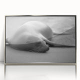 Framed wall art featuring a vibrant sea lion design in acrylic with a sleek silver frame, showcasing marine life in a contemporary style, perfect for ocean-themed decor.