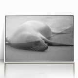 Framed acrylic wall art piece showcasing a vibrant sea lion design against a white background, ideal for marine life enthusiasts and coastal decor lovers.