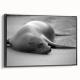 Framed wall art featuring a vibrant sea lion design in a colorful marine life theme, displayed on a black background, perfect for ocean-themed decor.