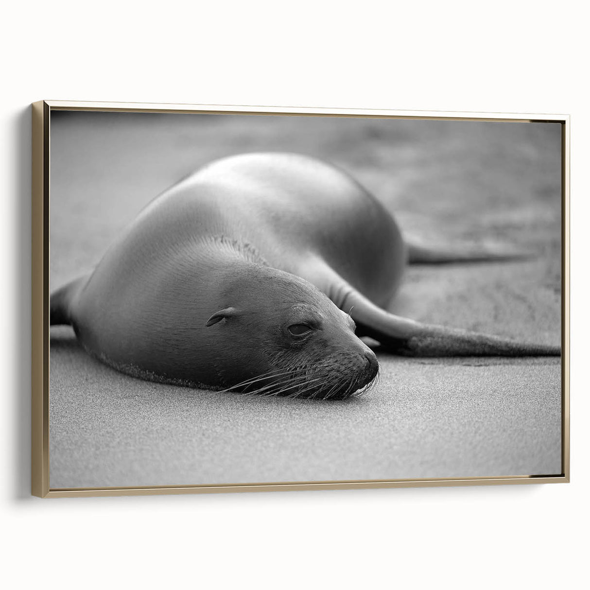 Framed canvas wall art featuring a vibrant sea lion design in gold tones, showcasing intricate marine life details against a stylish backdrop, perfect for ocean-themed decor.
