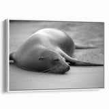 Framed canvas wall art showcasing a vibrant sea lion design, featuring a white background and lively colors, perfect for marine life enthusiasts and ocean-themed decor.