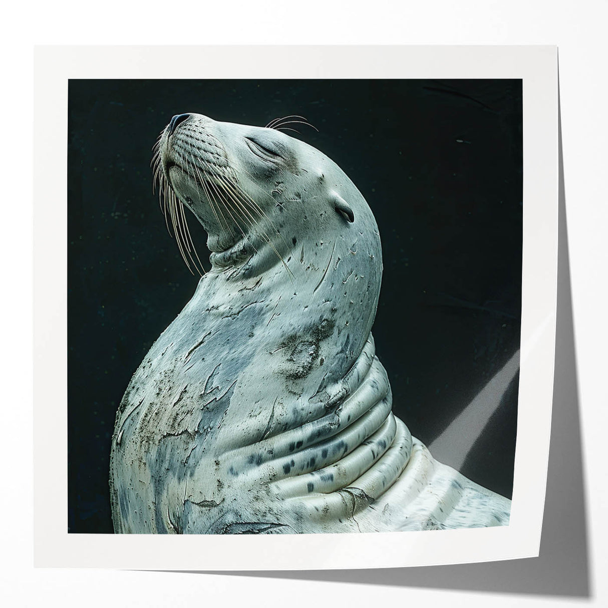 Vibrant wall art design featuring a playful sea lion amidst marine life, showcasing detailed textures and bright colors, perfect for coastal-themed decor.