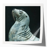 Vibrant wall art design featuring a playful sea lion amidst marine life, showcasing detailed textures and bright colors, perfect for coastal-themed decor.