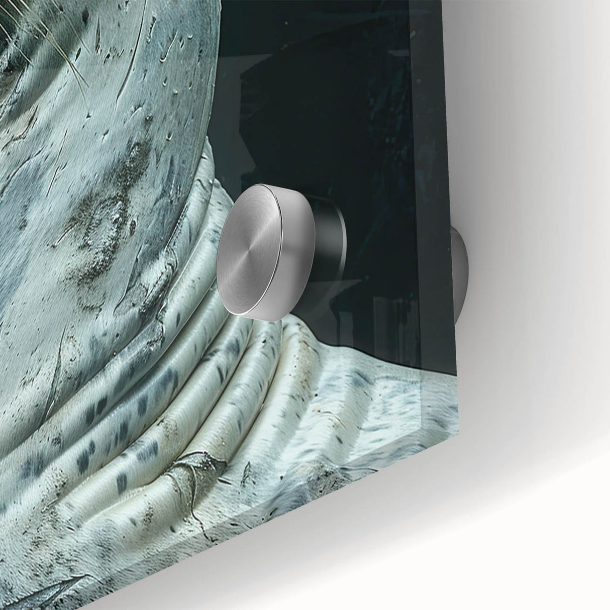 Close-up of vibrant sea lion wall art design, featuring intricate details and vivid colors on acrylic glass, perfect for marine life enthusiasts and home décor.