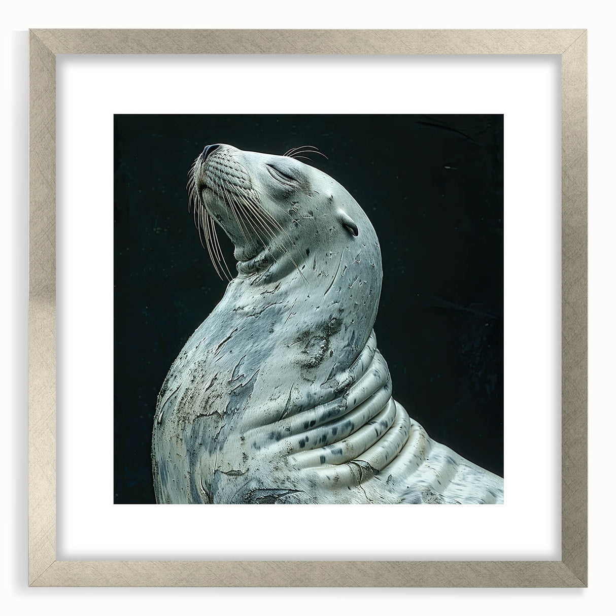 Framed wall art featuring a vibrant sea lion design, showcasing intricate marine life details with a silver mat, perfect for ocean-themed decor.