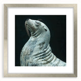 Framed wall art featuring a vibrant sea lion design, showcasing intricate marine life details with a silver mat, perfect for ocean-themed decor.