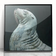 Framed wall art featuring a vibrant design of a sea lion, showcasing marine life with a black frame and acrylic front, perfect for ocean-themed decor.