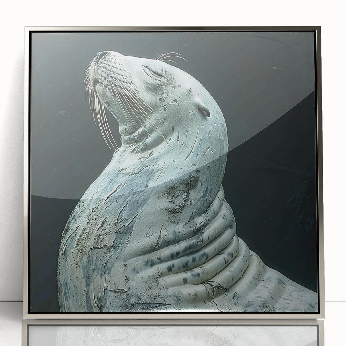 Framed acrylic wall art showcasing a playful sea lion design, featuring vibrant colors and a sleek silver frame, perfect for marine life enthusiasts and home decor.