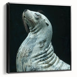 Framed canvas wall art featuring a sea lion design in vibrant colors, displayed against a black background, perfect for marine life enthusiasts looking to enhance their decor.