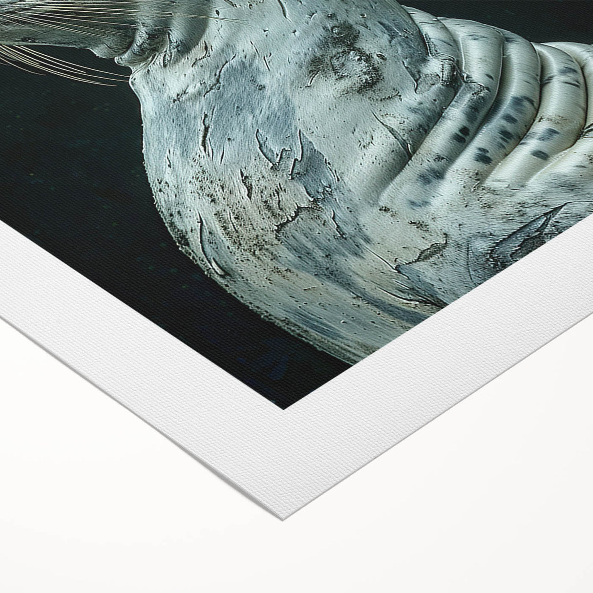 Vibrant rolled canvas wall art depicting a playful sea lion swimming in a colorful underwater scene, perfect for marine life enthusiasts and home decor.