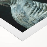 Vibrant rolled canvas wall art depicting a playful sea lion swimming in a colorful underwater scene, perfect for marine life enthusiasts and home decor.