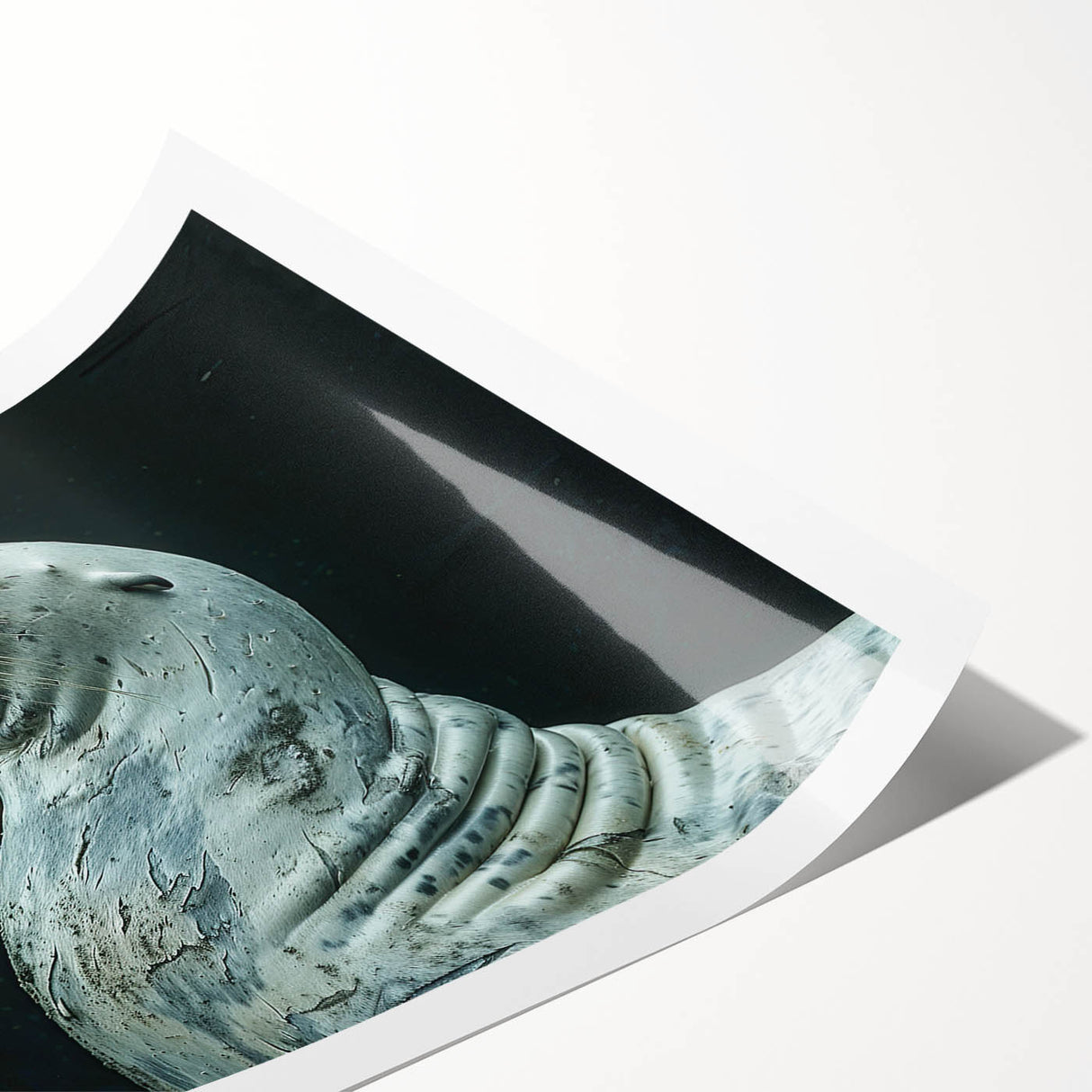 Vibrant wall art print showcasing a playful sea lion swimming among colorful marine life, ideal for ocean-themed decor, captured in intricate detail.