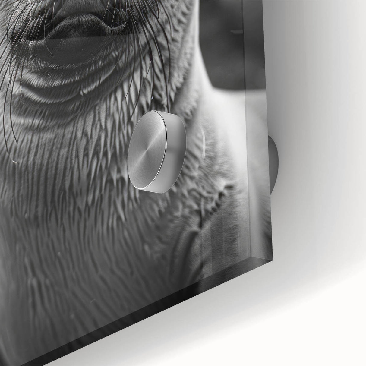 Close-up of a vibrant acrylic glass wall art piece showcasing a playful sea lion amidst colorful marine life, perfect for ocean-themed decor. Ideal for animal lovers and coastal home styling.