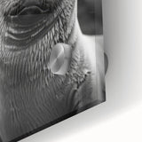 Close-up of a vibrant acrylic glass wall art piece showcasing a playful sea lion amidst colorful marine life, perfect for ocean-themed decor. Ideal for animal lovers and coastal home styling.