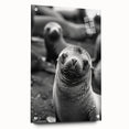 Side view of a marine life-themed wall art collection featuring a vibrant sea lion design, printed on acrylic glass, showcasing vivid colors and intricate details, ideal for ocean lovers' home decor.