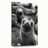 Side view of a marine life-themed wall art collection featuring a vibrant sea lion design, printed on acrylic glass, showcasing vivid colors and intricate details, ideal for ocean lovers' home decor.