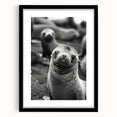 Framed wall art featuring a vibrant sea lion design in marine life theme, showcasing intricate details and a sleek black frame with matting. Perfect for ocean lovers.
