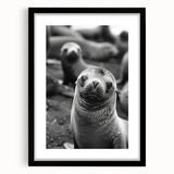 Framed wall art featuring a vibrant sea lion design in marine life theme, showcasing intricate details and a sleek black frame with matting. Perfect for ocean lovers.