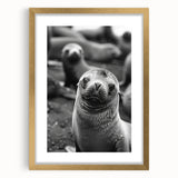 Framed wall art featuring a vibrant marine life design with a playful sea lion, elegantly set in a gold frame with a mat. Perfect for ocean-themed decor.