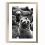 Framed wall art featuring a vibrant sea lion design, showcasing detailed marine life illustration in a stylish silver frame with a mat, perfect for ocean-themed decor.