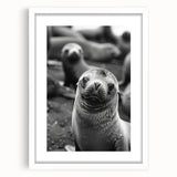 Framed wall art featuring a playful sea lion design in vibrant colors, set against a white mat, ideal for marine life enthusiasts and ocean-themed decor.