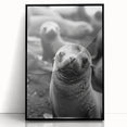 Framed acrylic wall art featuring a vibrant sea lion design, set against a black background, showcasing marine life in a contemporary style. Perfect for ocean enthusiasts.
