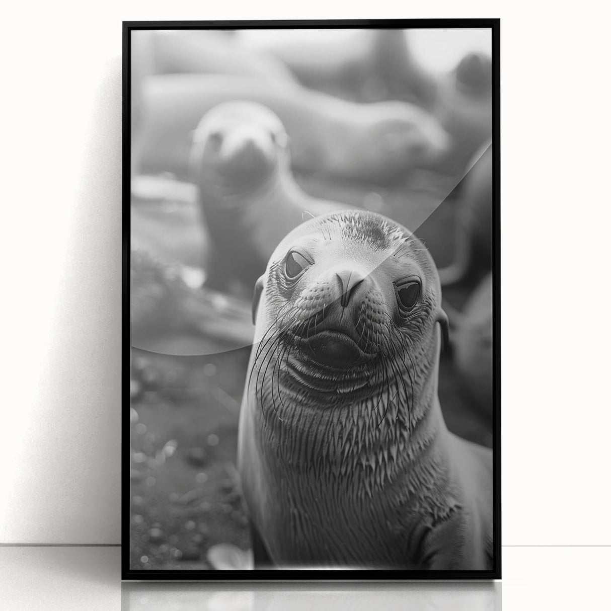 Framed acrylic wall art featuring a vibrant sea lion design, set against a black background, showcasing marine life in a contemporary style. Perfect for ocean enthusiasts.