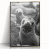 Framed acrylic wall art showcasing a vibrant sea lion design, featuring gold accents and a contemporary style, perfect for marine-themed home decor.