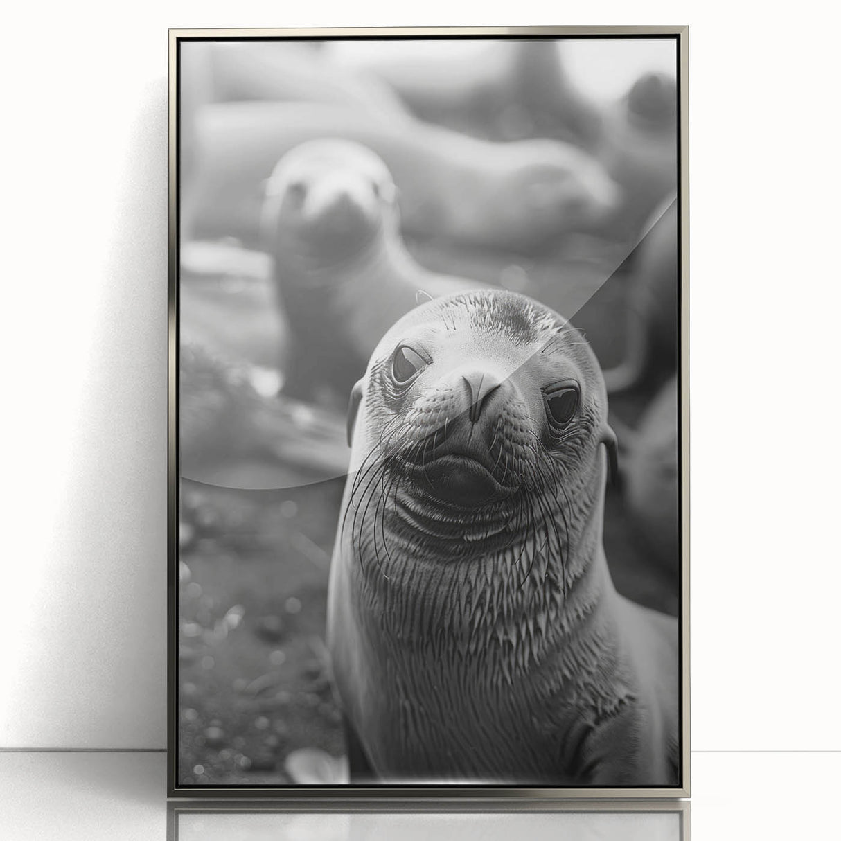 Framed acrylic wall art showcasing a vibrant marine life design featuring a sea lion, presented in a sleek silver frame, perfect for ocean-themed decor.