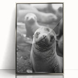 Framed acrylic wall art showcasing a vibrant marine life design featuring a sea lion, presented in a sleek silver frame, perfect for ocean-themed decor.
