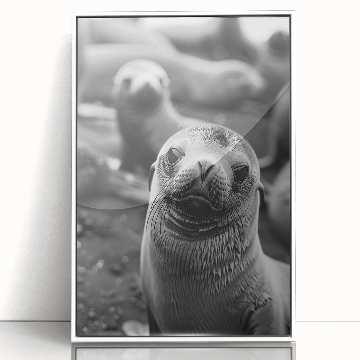 Framed wall art featuring a vibrant sea lion design, showcasing marine life in vivid colors, set against a sleek white background for modern decor.